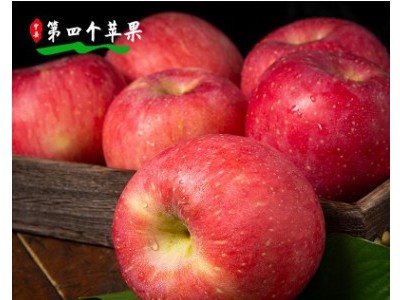 庆阳苹果 人类第四个苹果水果脆甜多汁顺丰快递