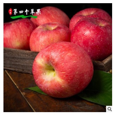 庆阳苹果 人类第四个苹果水果脆甜多汁顺丰快递