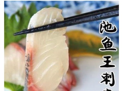 海鲜 日本进口池鱼王刺身日料食材冰鲜鱼批发 3~5斤/条 称重销售
