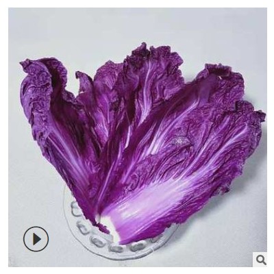 【5斤装】酒店用新鲜特色蔬菜韩国紫裔紫色大白菜包邮 一件代发