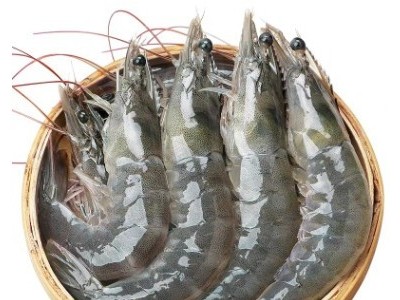 【顺丰快递】青岛大虾4斤/盒 50-60只/公斤 鲜活速冻海鲜水产