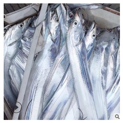 整条带鱼海捕东海新鲜带鱼水产海鲜刀鱼小眼带鱼批发零售速发