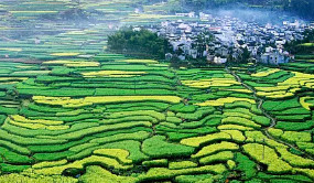 河南农业生产更“绿”更“优” 去年新增绿色食品标志许可1212个